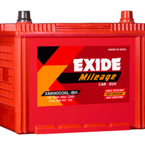 Exide 60B24L/R Standard Battery